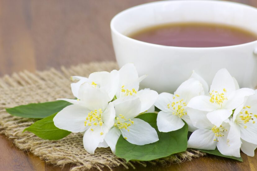 jasmine tea