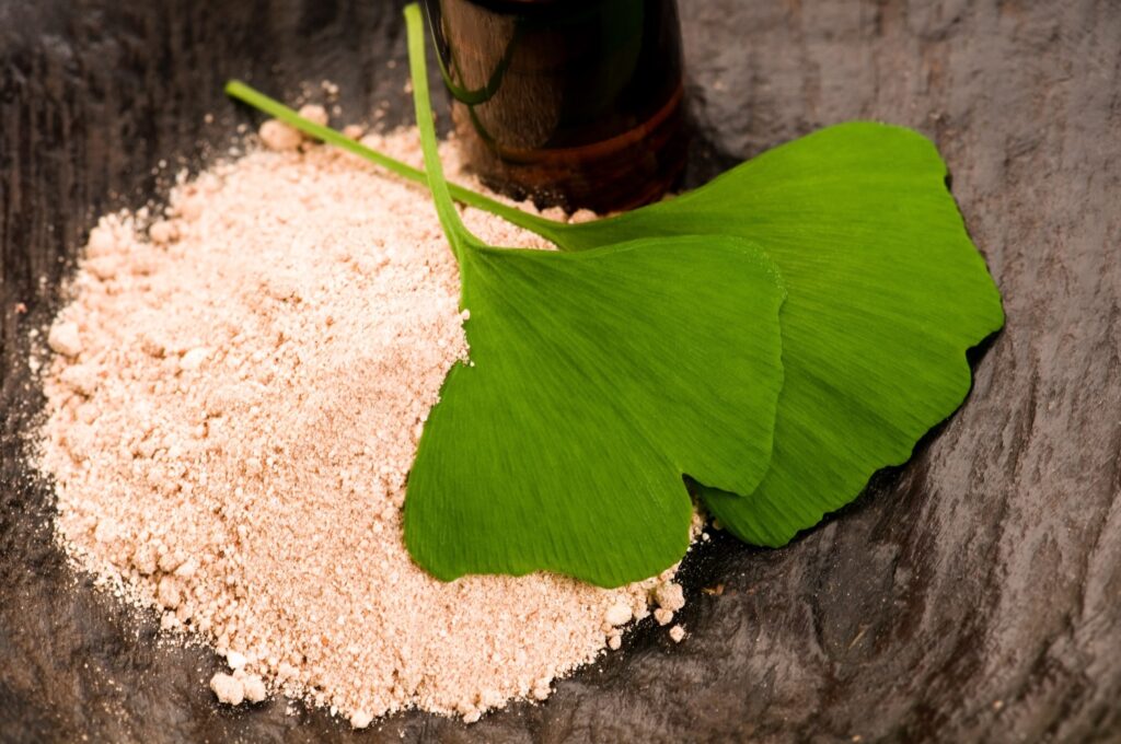 gingko biloba tea