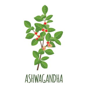 ashwagandha tea