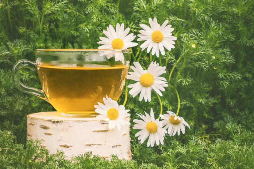Chamomile Tea